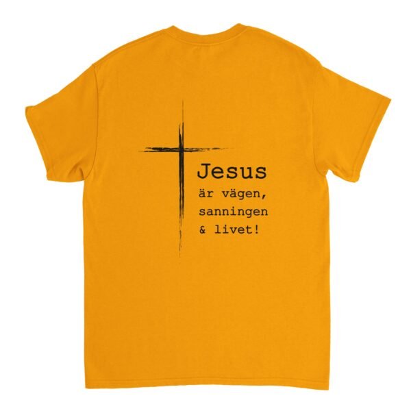 d6c91db3-ab9c-4286-99b6-3642d77e6e70